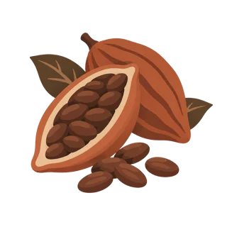 Ilustración de mazorca y granos de cacao