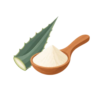Ilustración de inulina en polvo junto a una hoja de agave